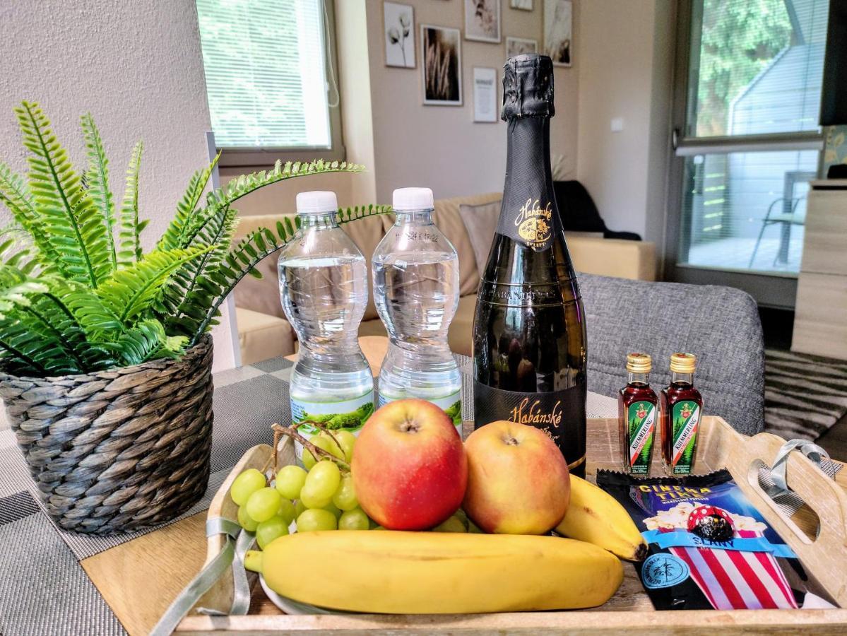 Relax Harrachov Apartments - Free Wellness Grotta Spa מראה חיצוני תמונה